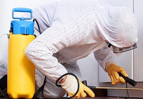 cleaning_banner_about_us-600x460